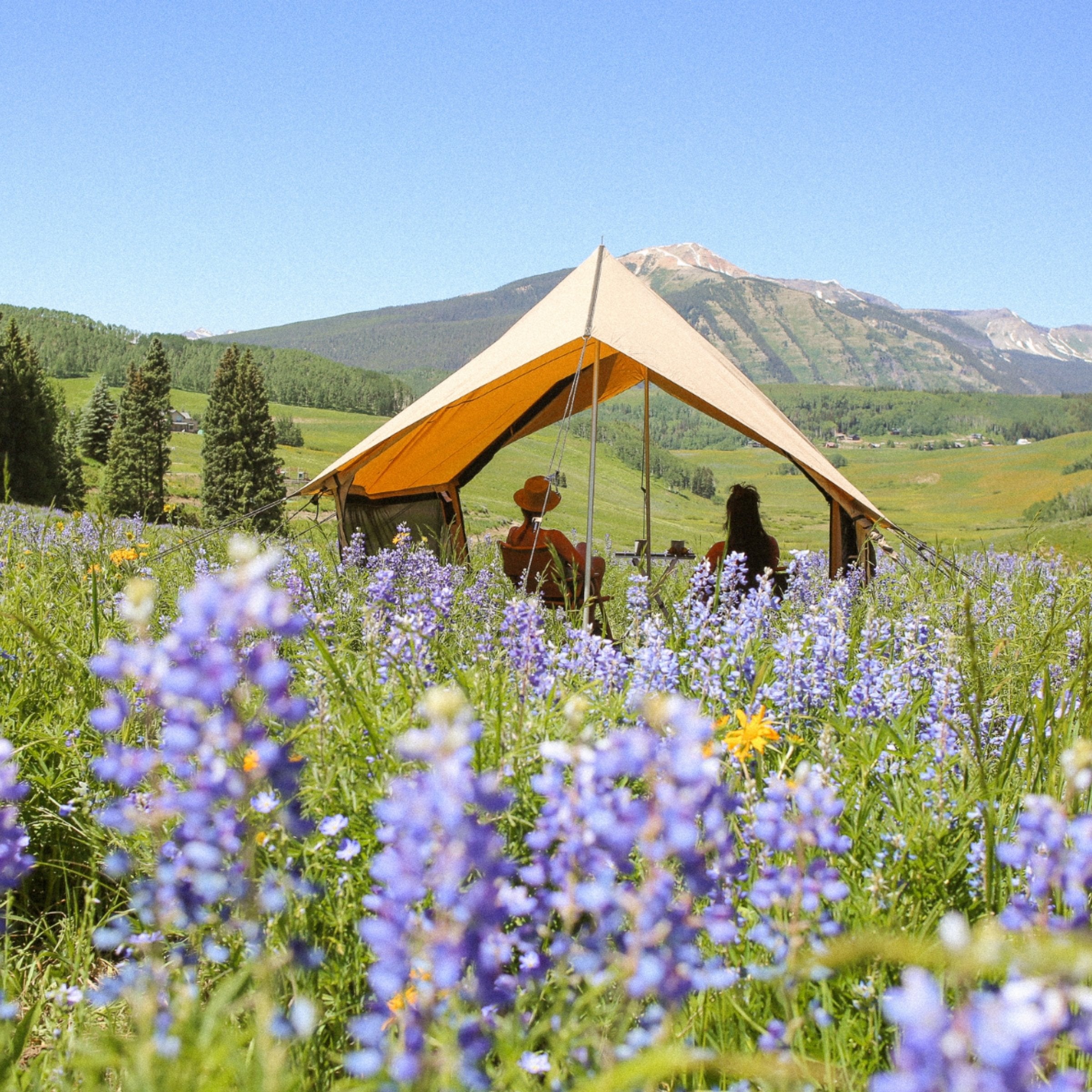 Rover scout tent placed in flowers field with front and back walls rolled, side mesh closed and a couple enjoying their drinks together