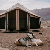 altimus bell tent set up outdoors with a dog sitting on a dog bed