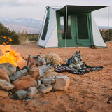 Two dogs resting near a prota canvas tent