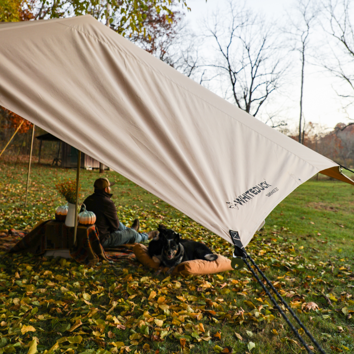 A man is resting under the sunshade tarp with his dog enjoying the weather.