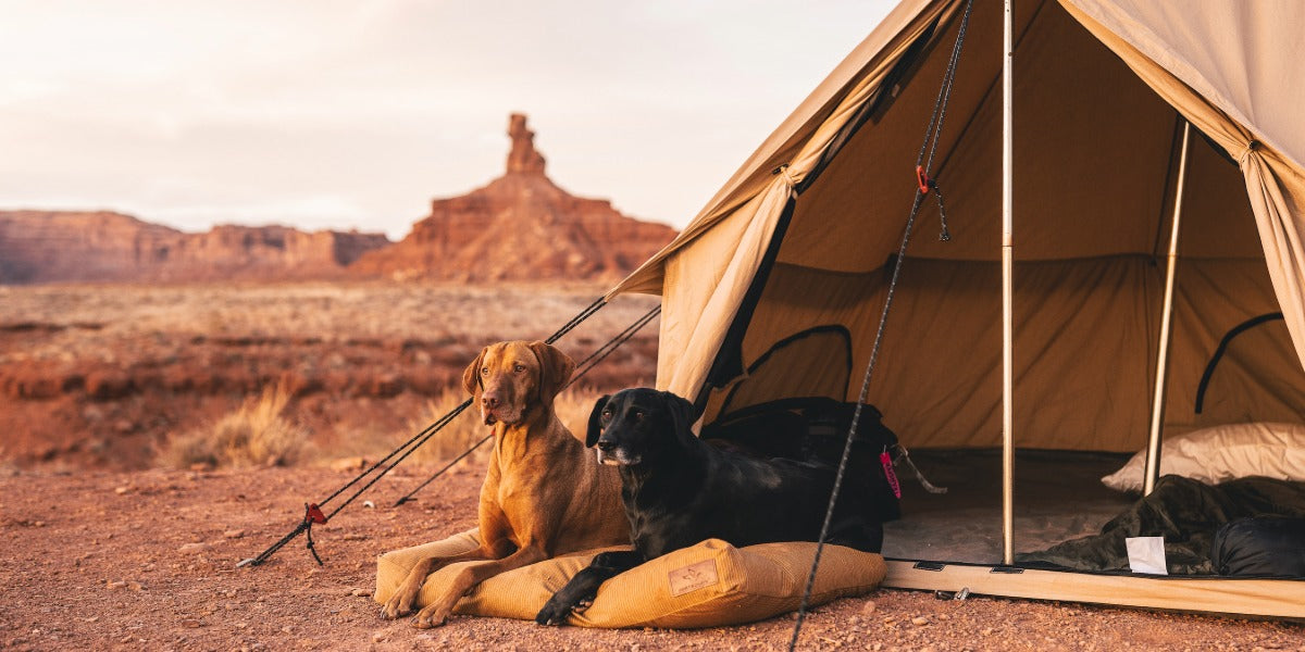 Men’s Journal Names White Duck Outdoors’ Dog Bed the Best of the Year