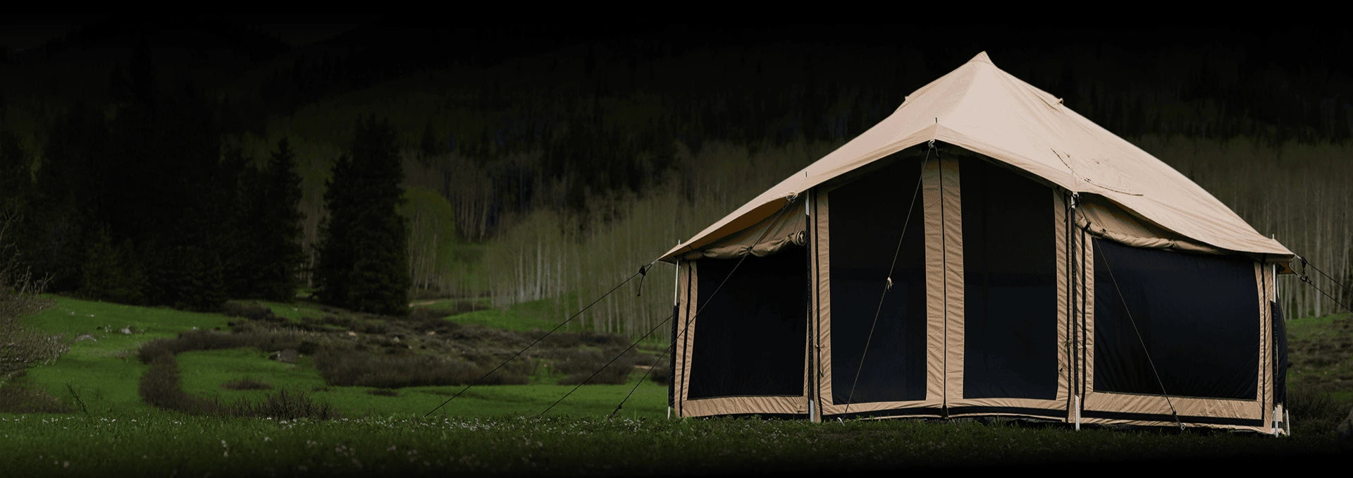 Description of image