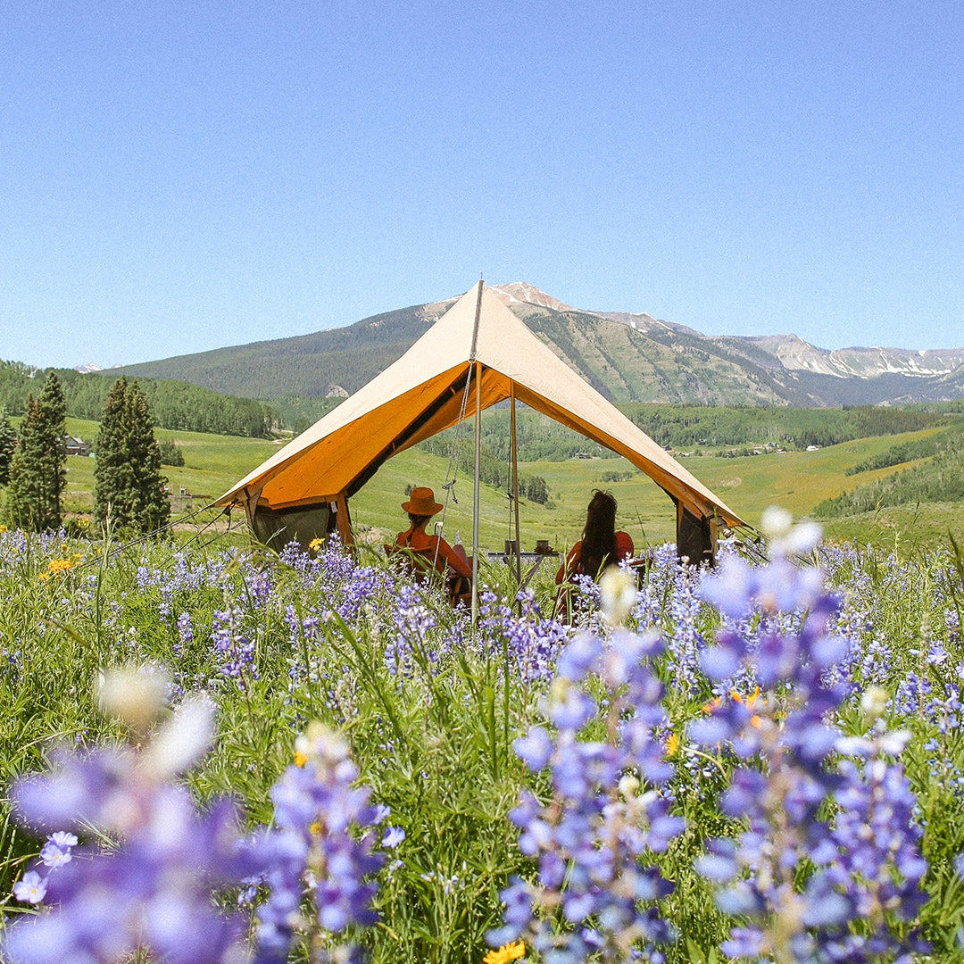 Description of image