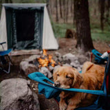 a dog sitting by a campfire and enjoying outdoors