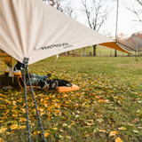 A dog is resting under the sunshade tarp.