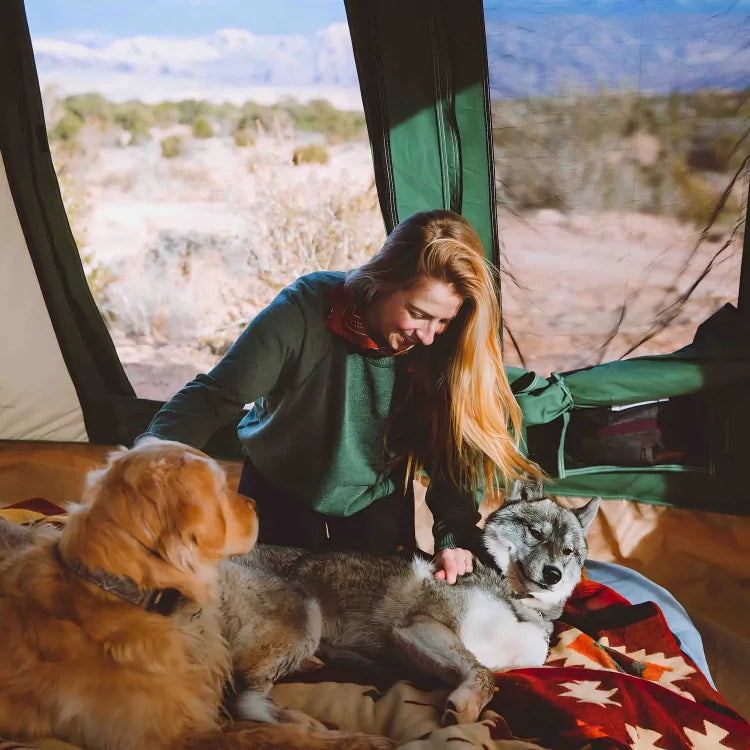women petting dogs inside a cozy prota cabin tent